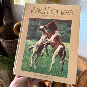 Vintage Wild Ponies Book